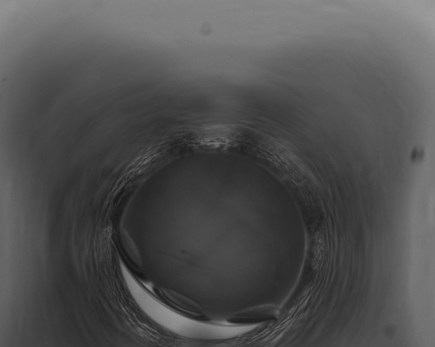 X0000097991394200804011757