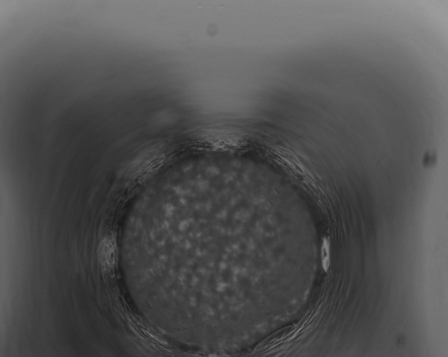 X0000097991395200804011757