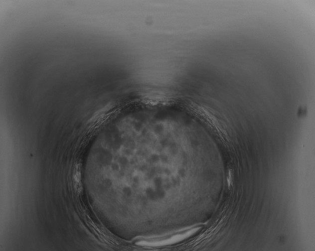 X0000097991396200804011757