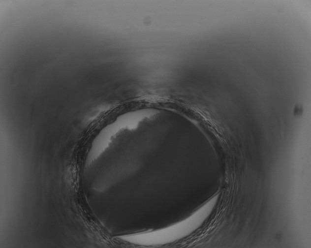 X0000097991398200804011757