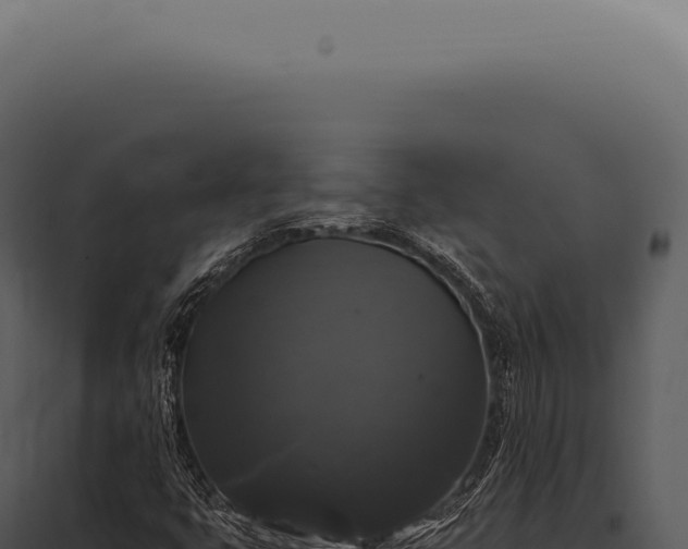 X0000097991399200804011757