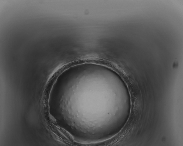 X0000097991400200804011757