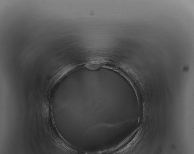 X0000097991401200804011757