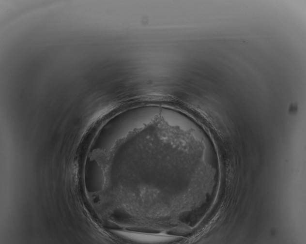 X0000097991402200804011757