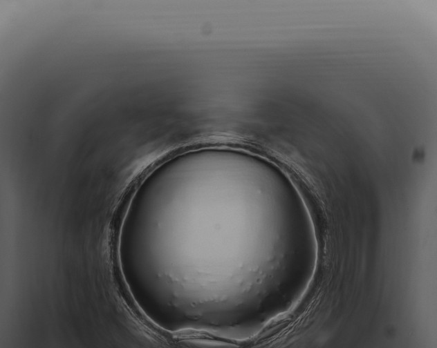 X0000097991404200804011757