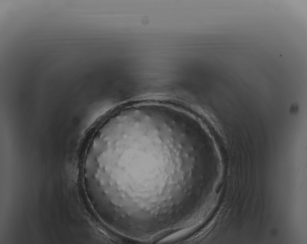 X0000097991406200804011757
