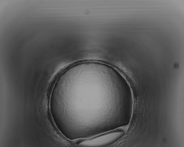 X0000097991408200804011757