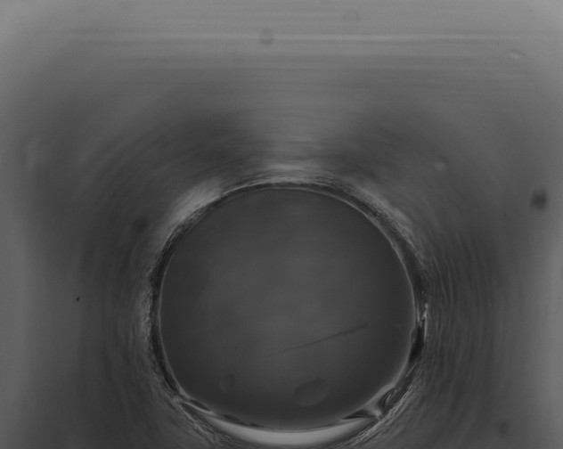 X0000097991411200804011758