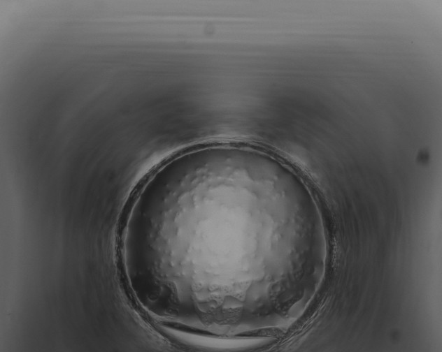 X0000097991412200804011758