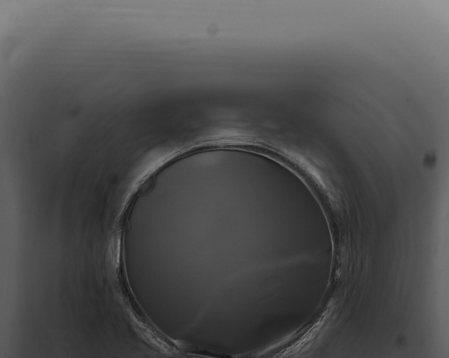 X0000097991413200804011758