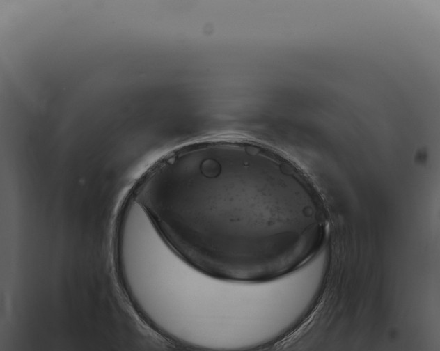 X0000097991414200804011758
