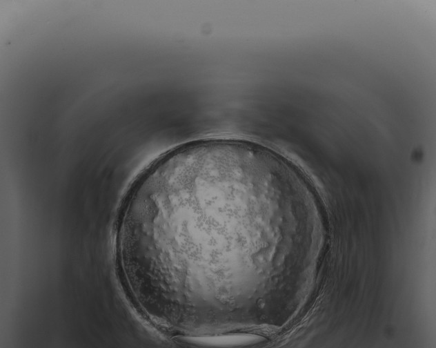 X0000097991416200804011758