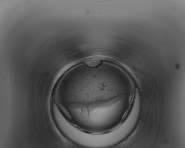 X0000097991418200804011758
