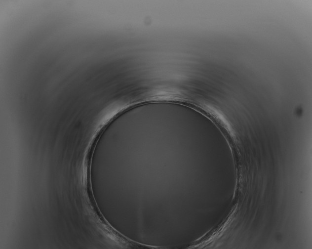 X0000097991419200804011758