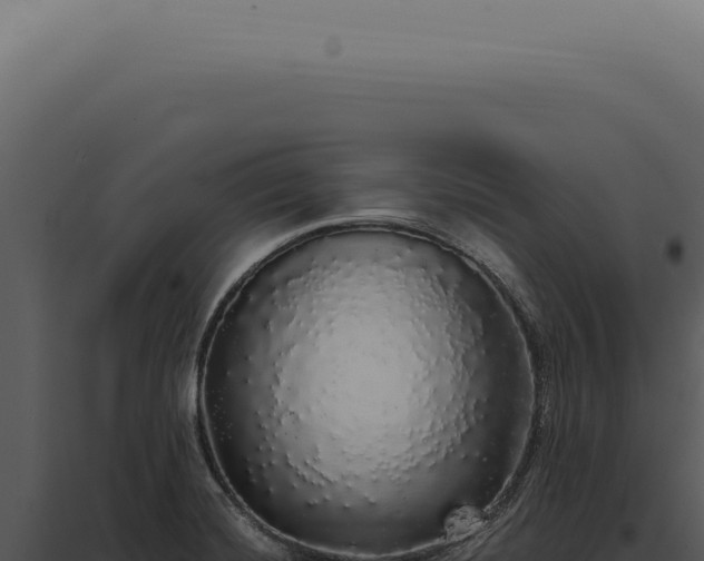 X0000097991420200804011758