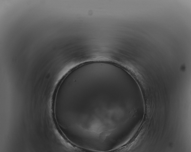 X0000097991422200804011758