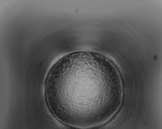 X0000097991424200804011758