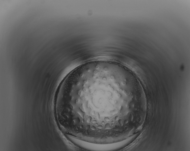 X0000097991426200804011758