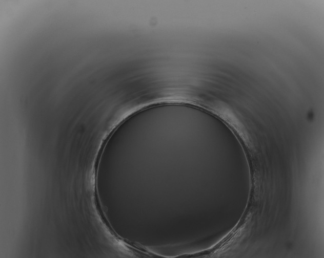 X0000097991428200804011758