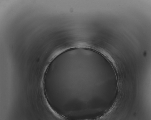 X0000097991429200804011758