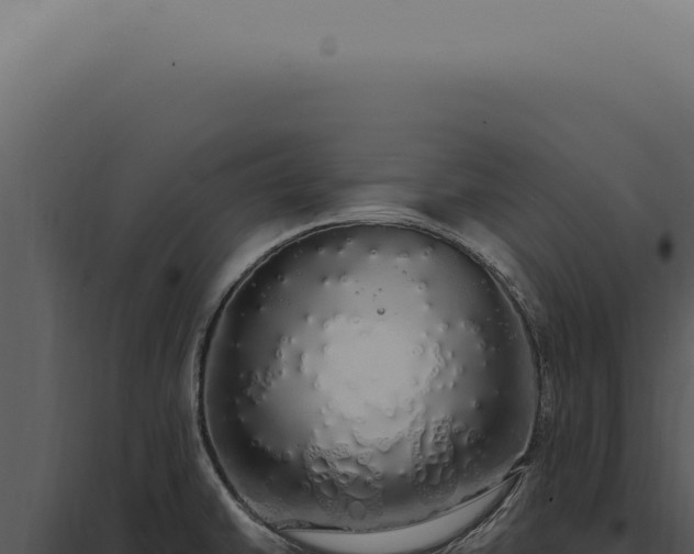 X0000097991430200804011758