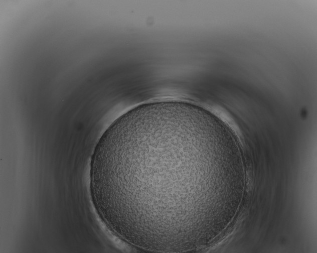 X0000097991431200804011758