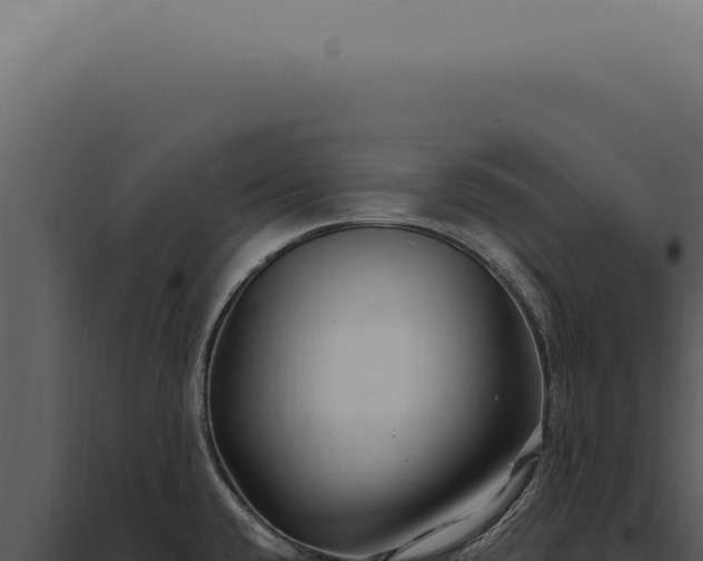 X0000097991432200804011758