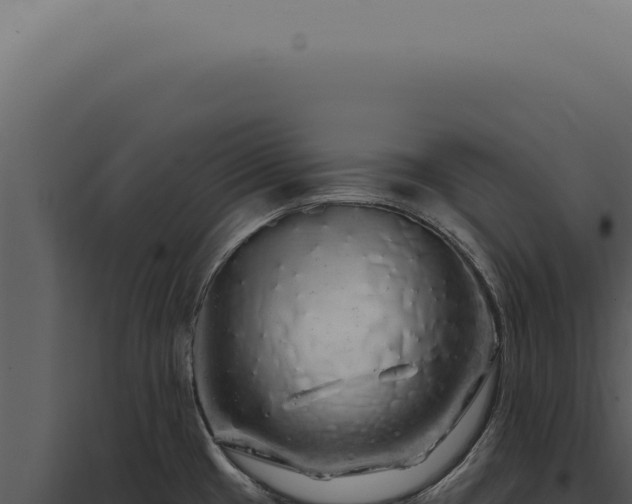 X0000097991433200804011758