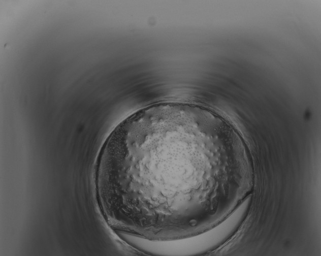 X0000097991434200804011758