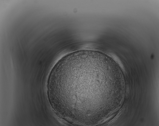 X0000097991435200804011758
