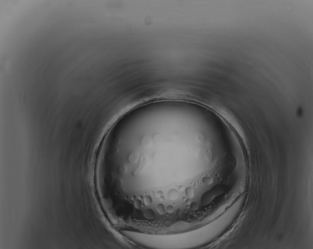 X0000097991437200804011758