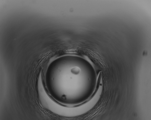 X0000097991441200804011757
