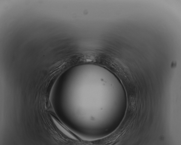 X0000097991442200804011757