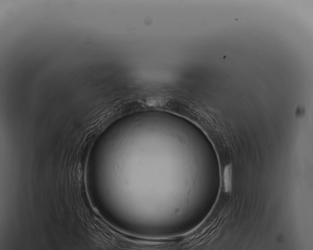 X0000097991443200804011757