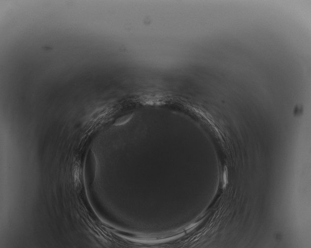 X0000097991444200804011757