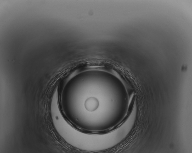 X0000097991445200804011757