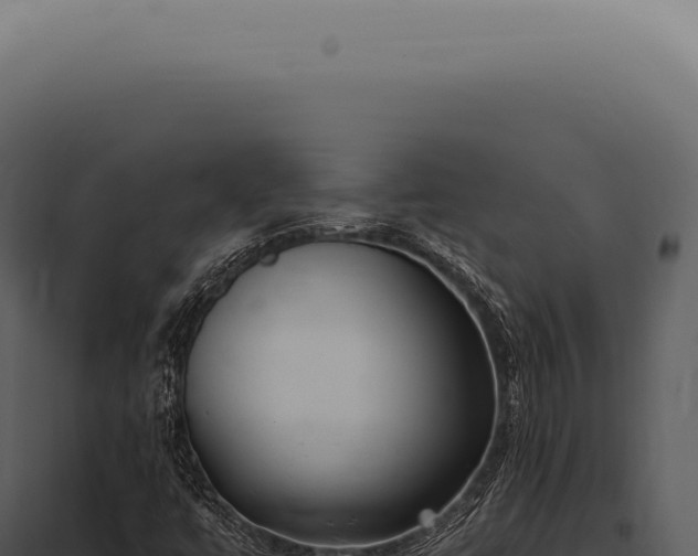 X0000097991447200804011757
