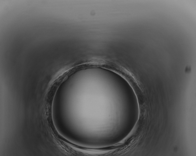 X0000097991448200804011757