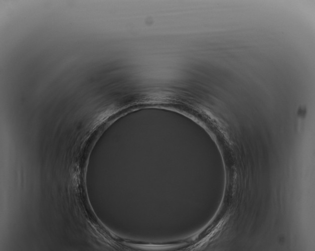 X0000097991449200804011757