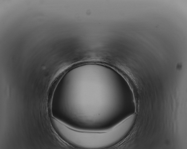 X0000097991452200804011757