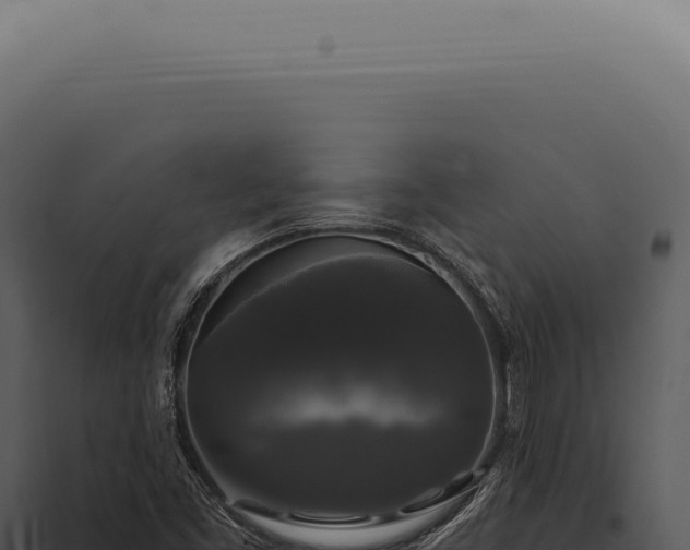 X0000097991453200804011757