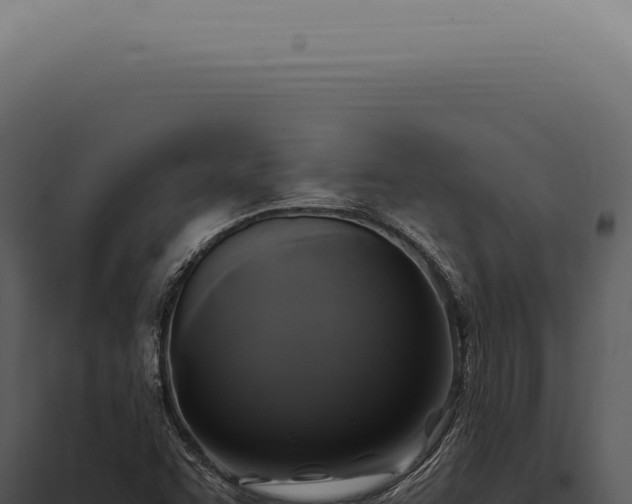 X0000097991455200804011757