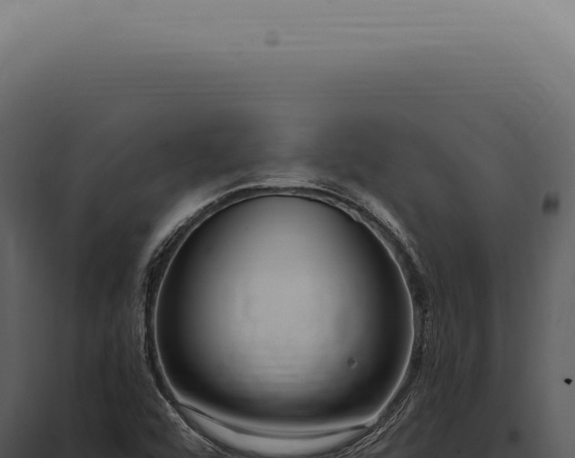X0000097991456200804011757