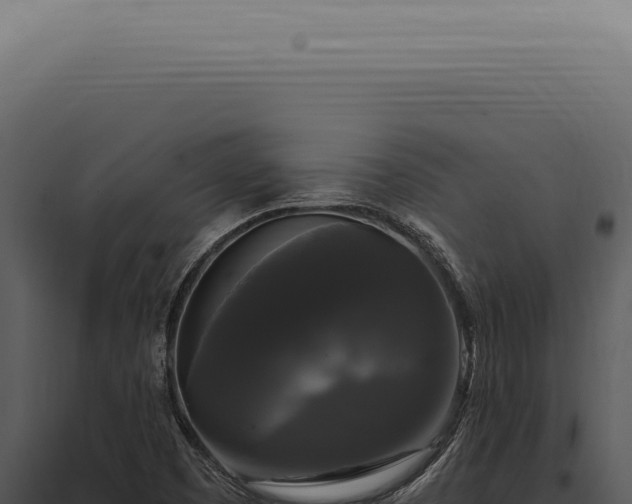 X0000097991457200804011757