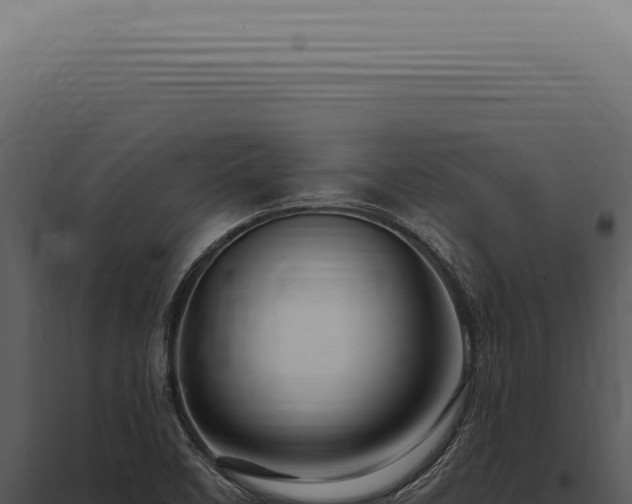 X0000097991458200804011757