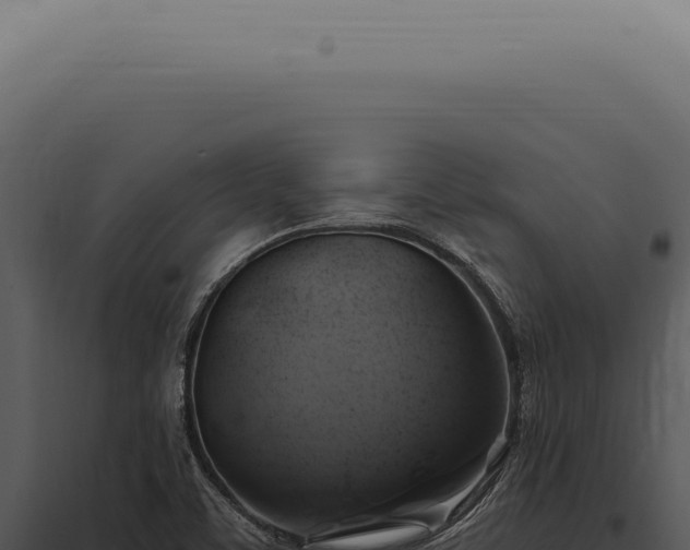 X0000097991459200804011757