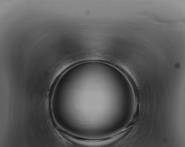 X0000097991460200804011757