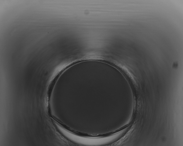 X0000097991461200804011757
