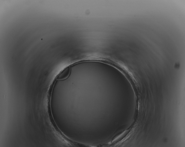 X0000097991463200804011757