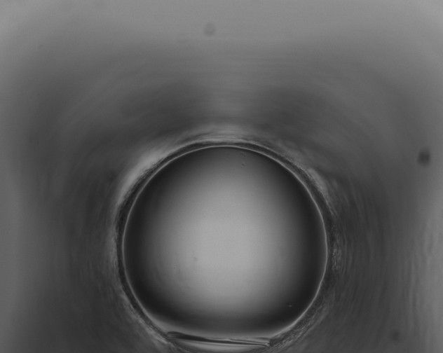 X0000097991464200804011757